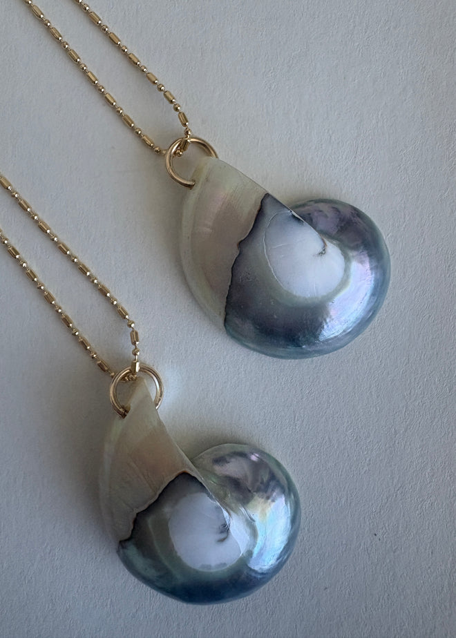 Moonwater Nautilus Necklace