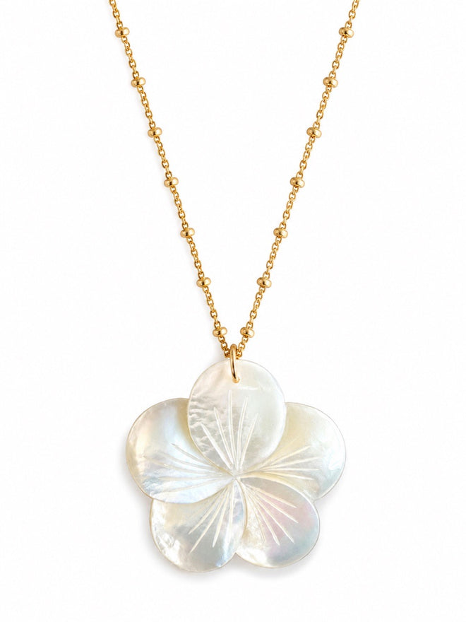 Plumeria Mother of Pearl