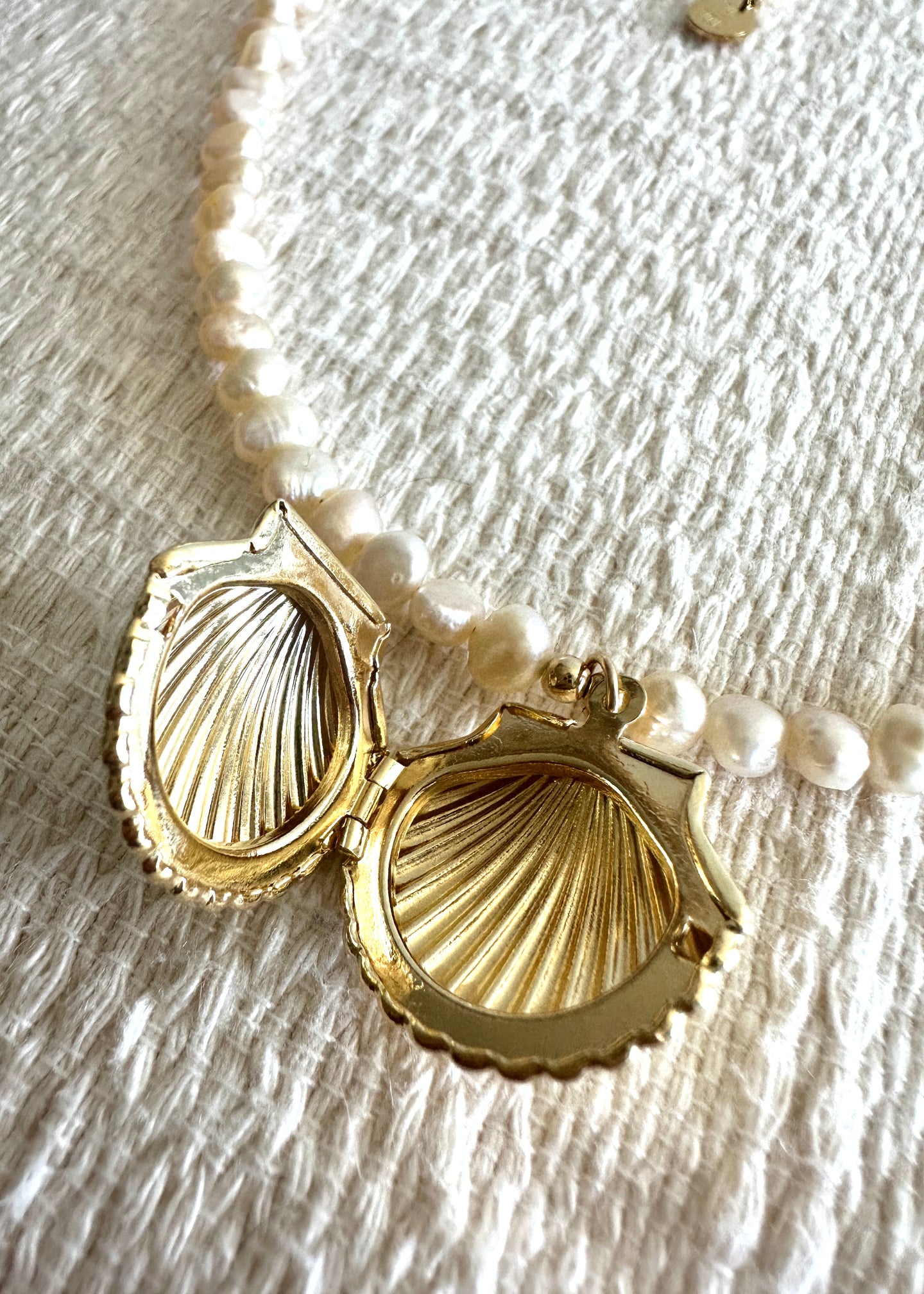 Mermaid's Memory ☆ Seashell + Pearl Locket