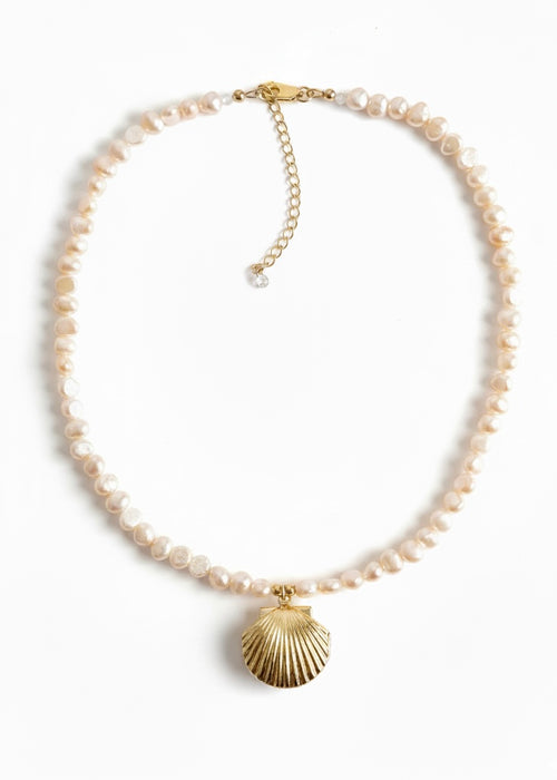 Arielle Seashell Locket