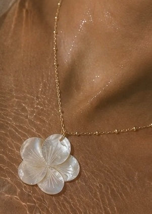 Plumeria Mother of Pearl