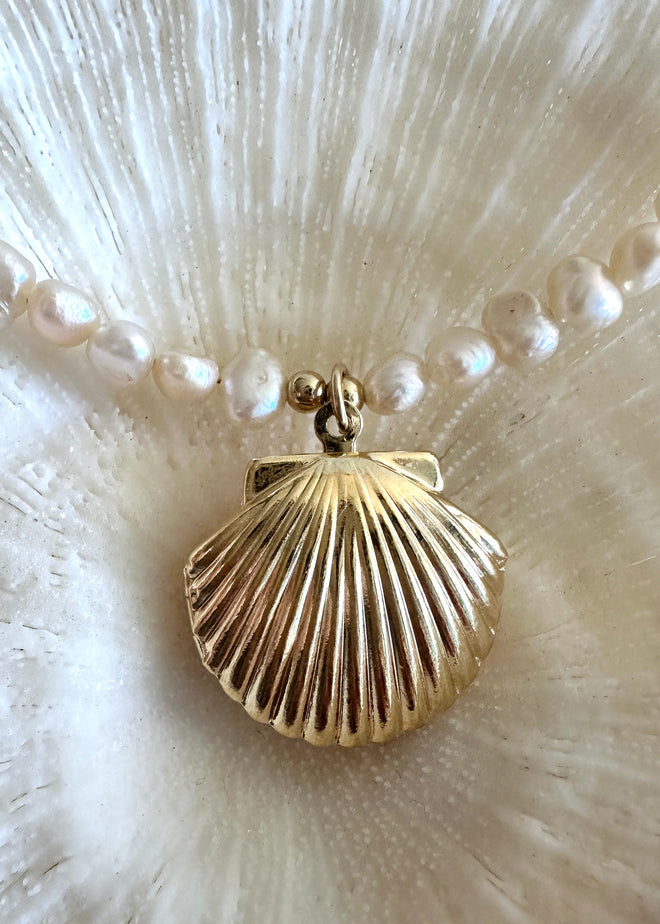 Mermaid's Memory ☆ Seashell + Pearl Locket