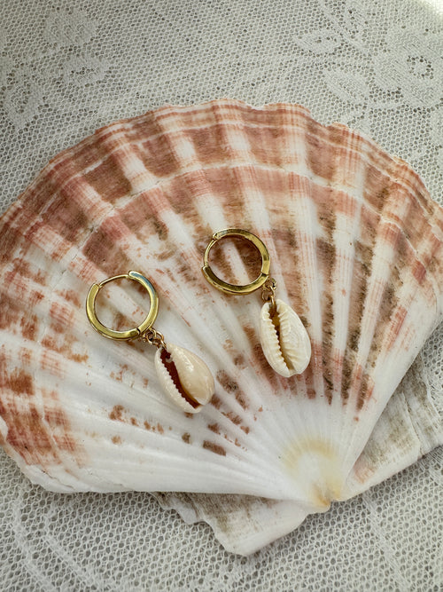 Cowrie Shell Hoops