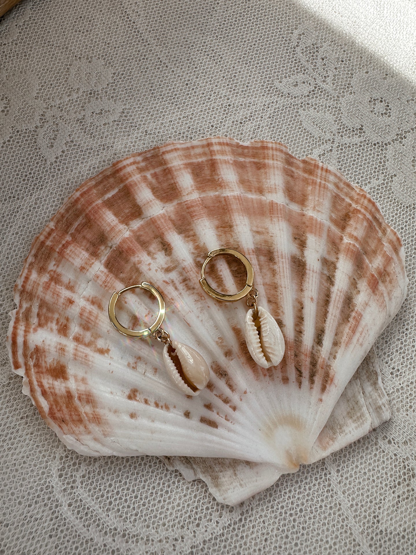 Cowrie Shell Hoops