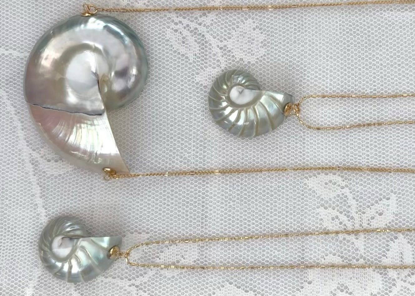 nautilus seashell necklaces on white lace
