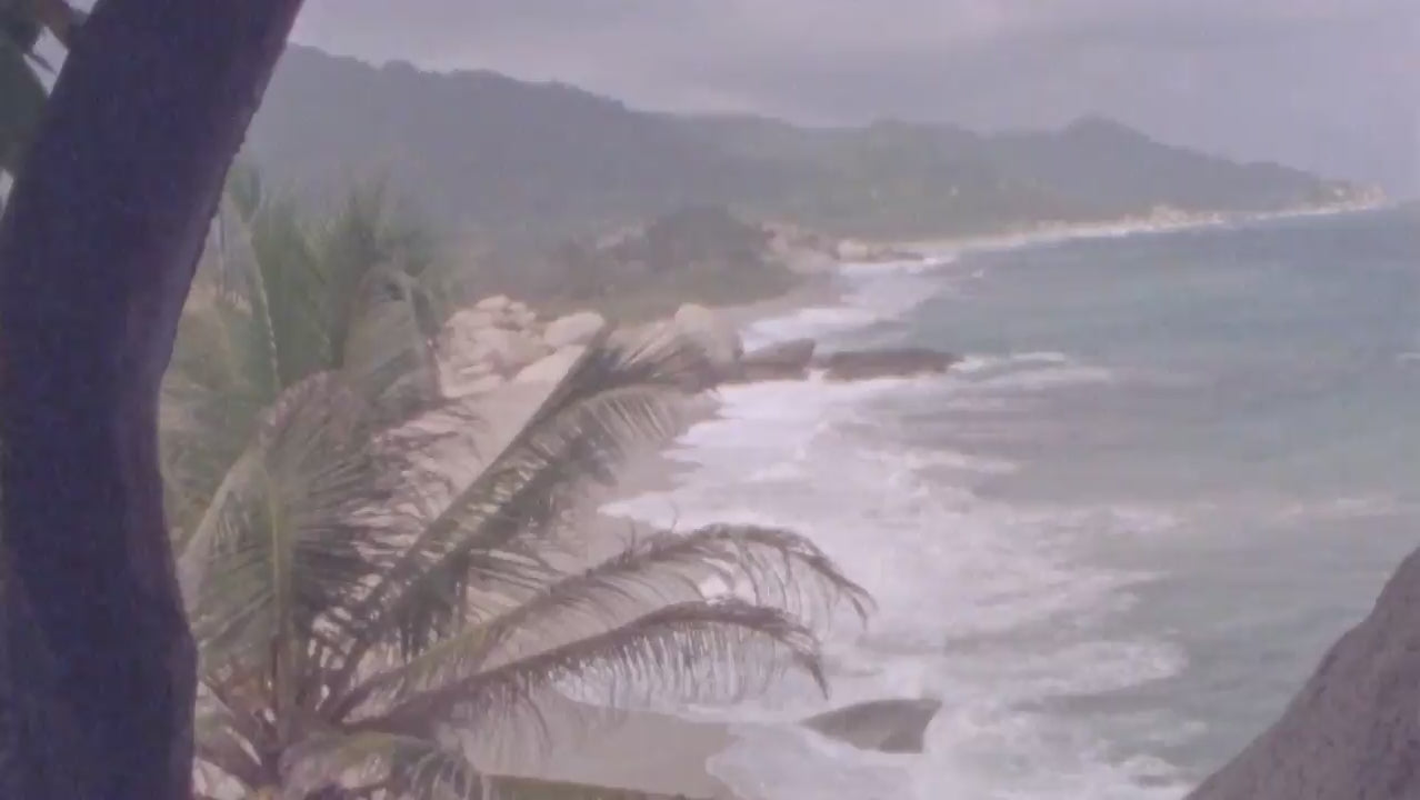 video of waves crashing against the sea and palm trees